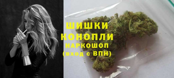 гидра Усмань