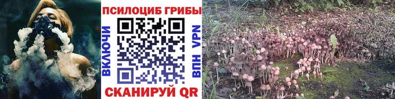 Галлюциногенные грибы прущие грибы  Макарьев 